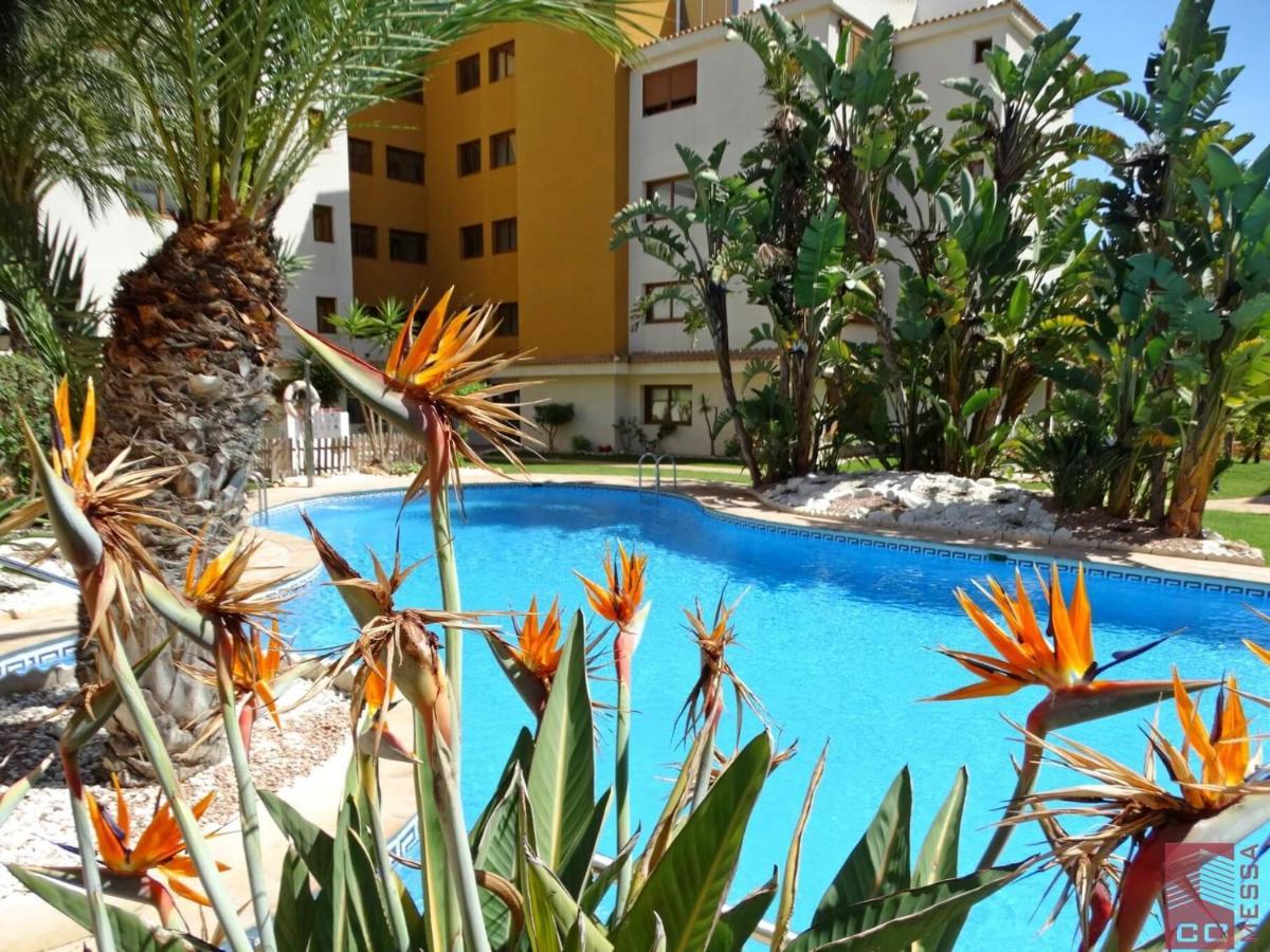 Apartamento Eleonor, La Entrada, Punta Prima, Torrevieja Eksteriør bilde